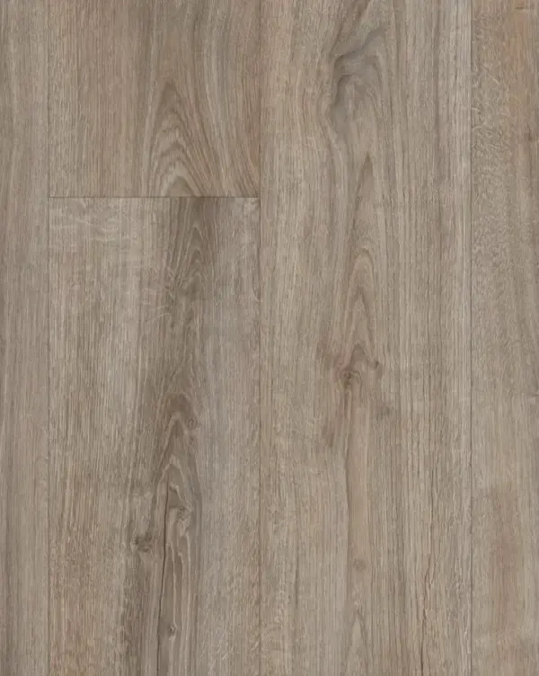 Robert Malcom Zenith Legend Oak S46