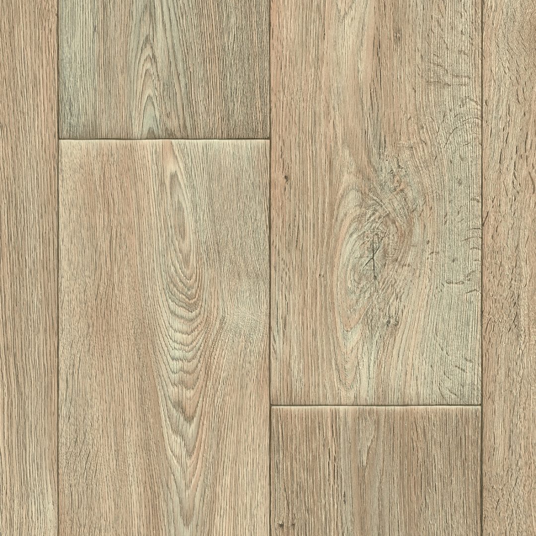 CHESTNUT OAK 35.tif
tempo