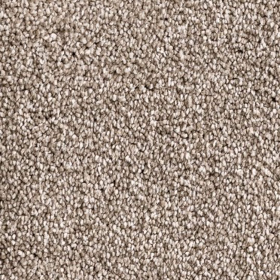 brighton rockburn NEW